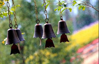 我曾经杀过生该怎么办？